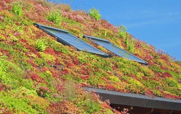 St Nicholas At Wade living roof systems