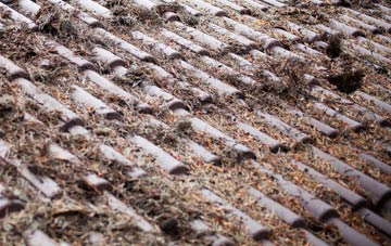 St Nicholas At Wade roof cleaning companies