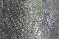 St Nicholas At Wade fibreglass roof work